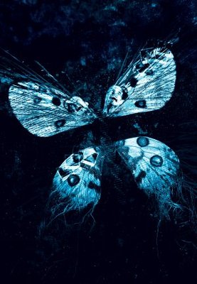 Butterfly Effect: Revelation movie poster (2009) poster