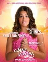 Jane the Virgin movie poster (2014) t-shirt #MOV_f041534d