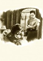 A Streetcar Named Desire movie poster (1951) t-shirt #MOV_f1ed8556