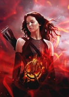 The Hunger Games: Catching Fire movie poster (2013) Poster MOV_f4ff4b59