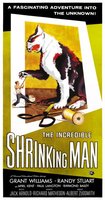 The Incredible Shrinking Man movie poster (1957) Poster MOV_f5e663e3