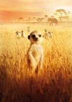 The Meerkats movie poster (2008) Poster MOV_f8246a37