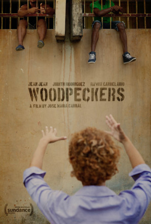 Carpinteros movie poster (2017) poster