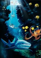 Deep Sea 3D movie poster (2006) Sweatshirt #673387