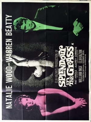 Splendor in the Grass movie poster (1961) Poster MOV_fa78243b