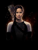 The Hunger Games: Catching Fire movie poster (2013) Poster MOV_fabd4b0d