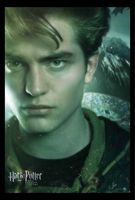Harry Potter and the Goblet of Fire movie poster (2005) Poster MOV_fbf1d217