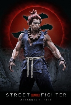Street Fighter: Assassin's Fist movie poster (2014) Poster MOV_fd3e3a5c