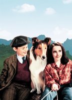 Lassie Come Home movie poster (1943) t-shirt #MOV_fde25772