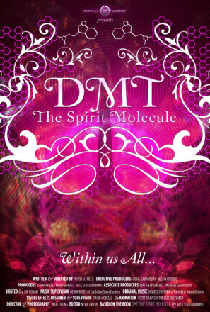 DMT: The Spirit Molecule movie poster (2010) calendar