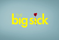 The Big Sick movie poster (2017) t-shirt #MOV_gun3rghy
