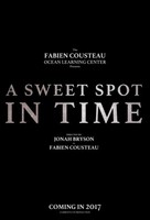 A Sweet Spot in Time movie poster (2016) Poster MOV_hmwp3l5b