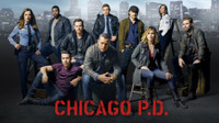 Chicago PD movie poster (2013) t-shirt #MOV_pwqpqapw