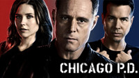 Chicago PD movie poster (2013) Poster MOV_q99w3w8b