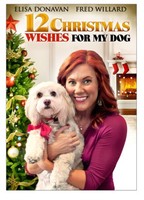 12 Wishes of Christmas movie poster (2011) Poster MOV_rw82psnv