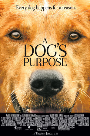 A Dogs Purpose movie poster (2017) calendar