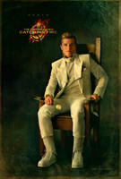 The Hunger Games: Catching Fire movie poster (2013) Poster MOV_uc4a4s8n