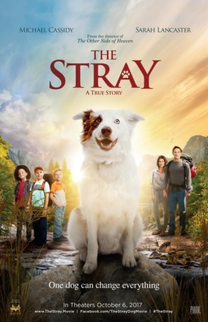 The Stray movie poster (2017) calendar
