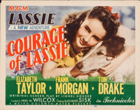 Courage of Lassie movie poster (1946) t-shirt #MOV_vsaodqvx