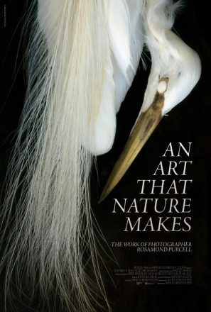 An Art That Nature Makes: The Work of Rosamond Purcell movie poster (2015) Poster MOV_wmhpffva