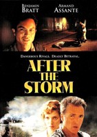 After the Storm movie poster (2001) Poster MOV_zshctblb