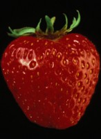 Strawberry tote bag #Z1PH10013213