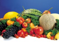Fruits & Vegetables other Sweatshirt #247037