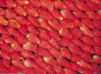 Strawberry Mouse Pad Z1PH10038535