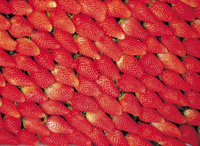Strawberry calendar