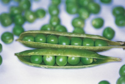 Pea posters