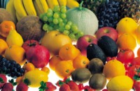 Fruits & Vegetables other mug #Z1PH16322659