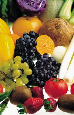 Fruits & Vegetables other Poster Z1PH16323172