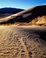 Death Valley National Park Poster Z1PH7284240