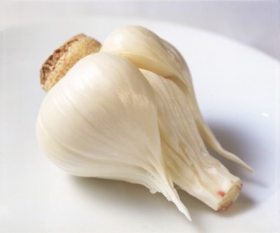 Garlic Poster Z1PH7437491