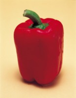 Peppers & Chiles Poster Z1PH7440429
