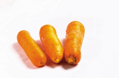 Carrot Sweatshirt