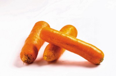 Carrot Sweatshirt