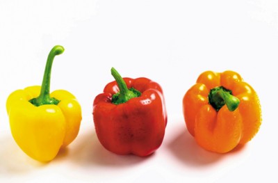 Peppers & Chiles Poster Z1PH7525271