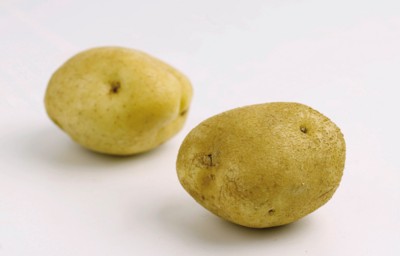Potato posters