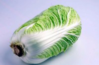 Cabbage Poster Z1PH7525499
