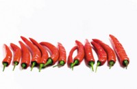 Peppers & Chiles Poster Z1PH7525531