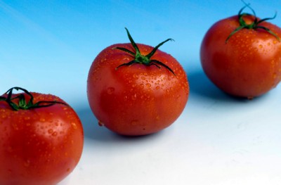 Tomato tote bag #Z1PH7525798