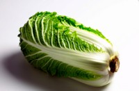 Cabbage Poster Z1PH7527157