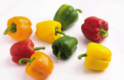 Peppers & Chiles Poster Z1PH7529029