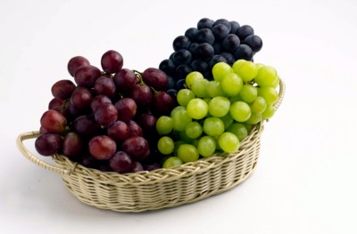 Grapes Poster Z1PH7531743