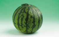 Watermelon Tank Top #251828