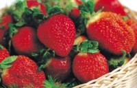 Strawberry tote bag #Z1PH7535134