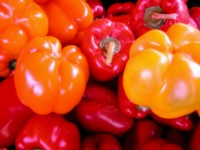 Peppers & Chiles Poster Z1PH7636792