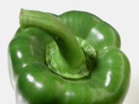 Peppers & Chiles Poster Z1PH7637535