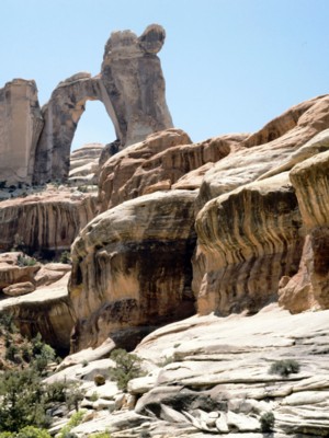 Canyonlands National Park tote bag